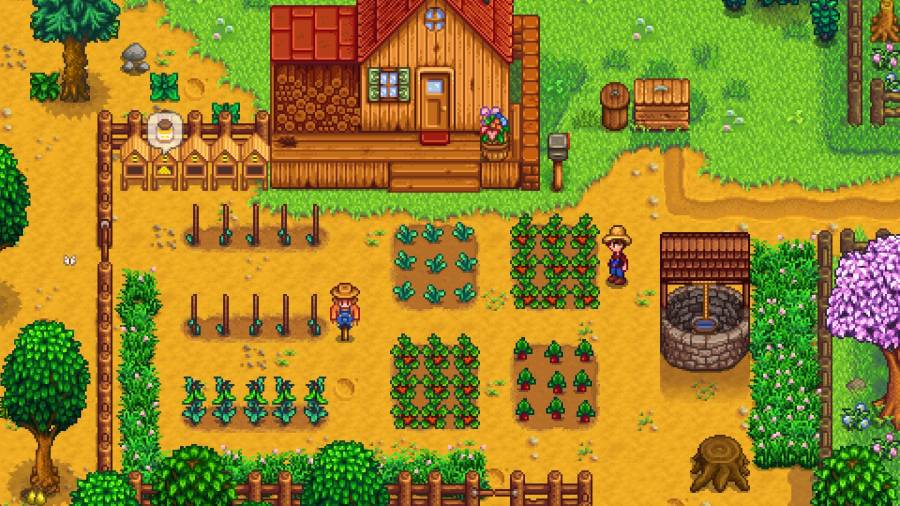 stardew_valley-screen-07.jpg